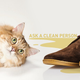 Illustration for article titled Help! The Goddamn Cat Peed On My Loafers
